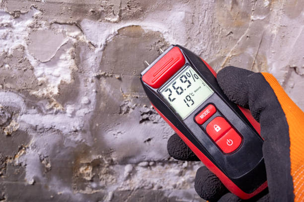 Best Best Mold Removal Companies  in Heritage Hills, NY