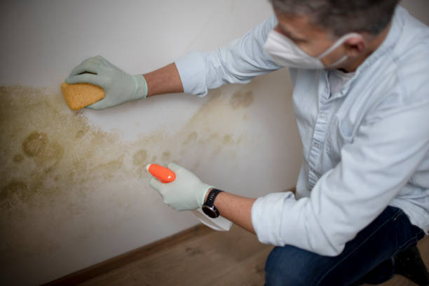 Mold Testing and Removal in Heritage Hills, NY