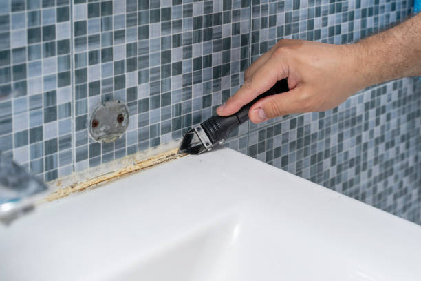 Best Same-Day Mold Removal  in Heritage Hills, NY