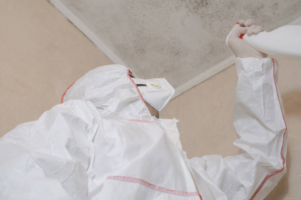 Best Black Mold Removal  in Heritage Hills, NY