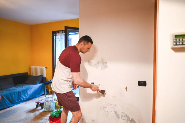 Best Home Mold Removal  in Heritage Hills, NY