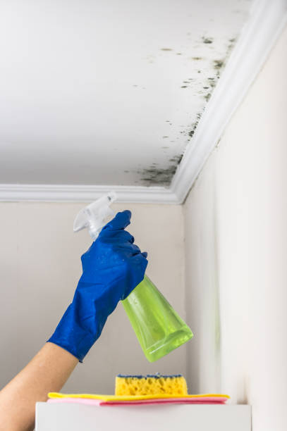 Mold Removal and Inspection in Heritage Hills, NY